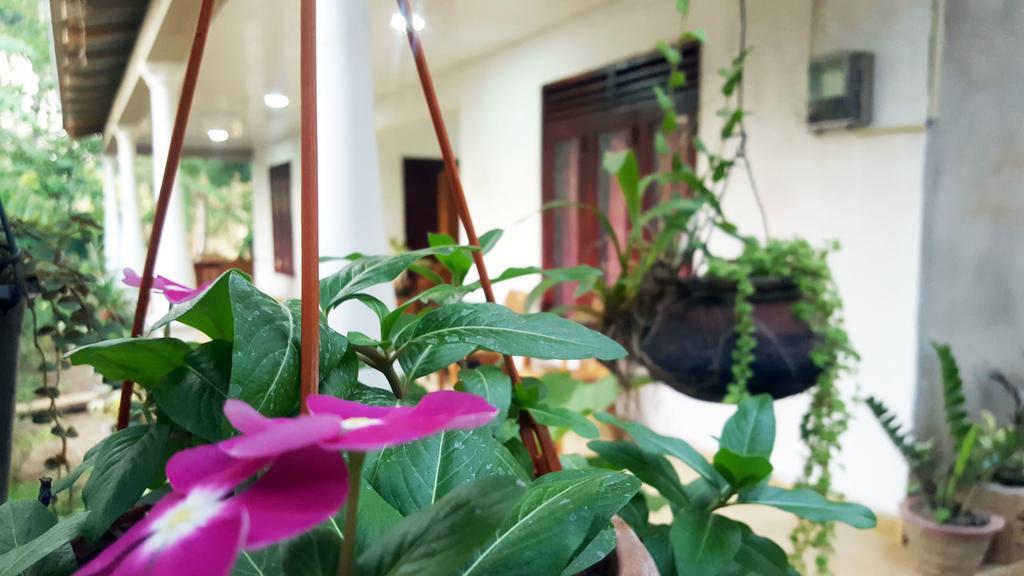 Kassapa Home Stay Sigiriya Luaran gambar